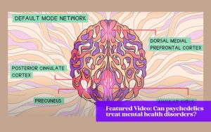 Can Psychedelics Treat Mental Health Disorders